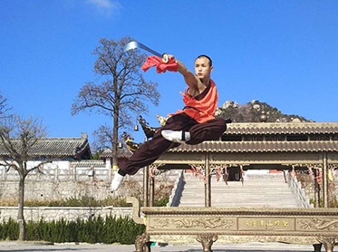  Chinese kungfu