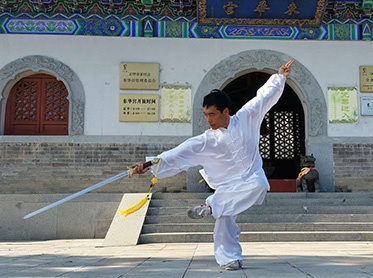  Chinese kungfu