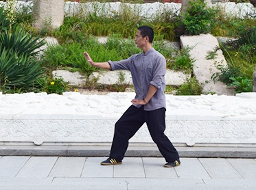  Chinese kungfu