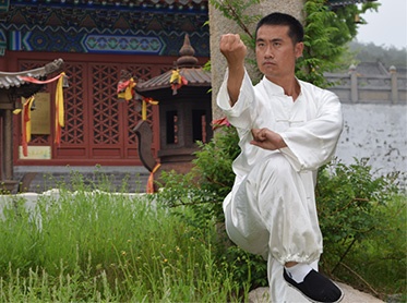  Chinese kungfu